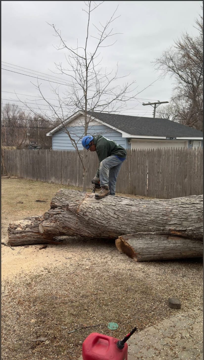 Residential tree service