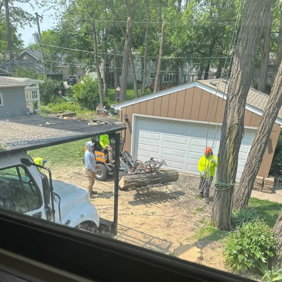 Emergency tree removal