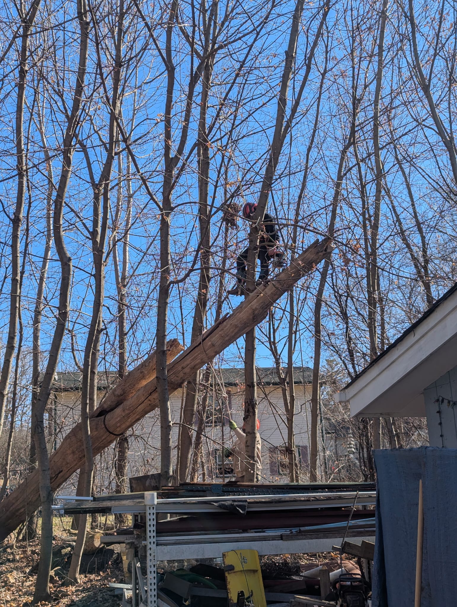 Emergency tree removal after storm
