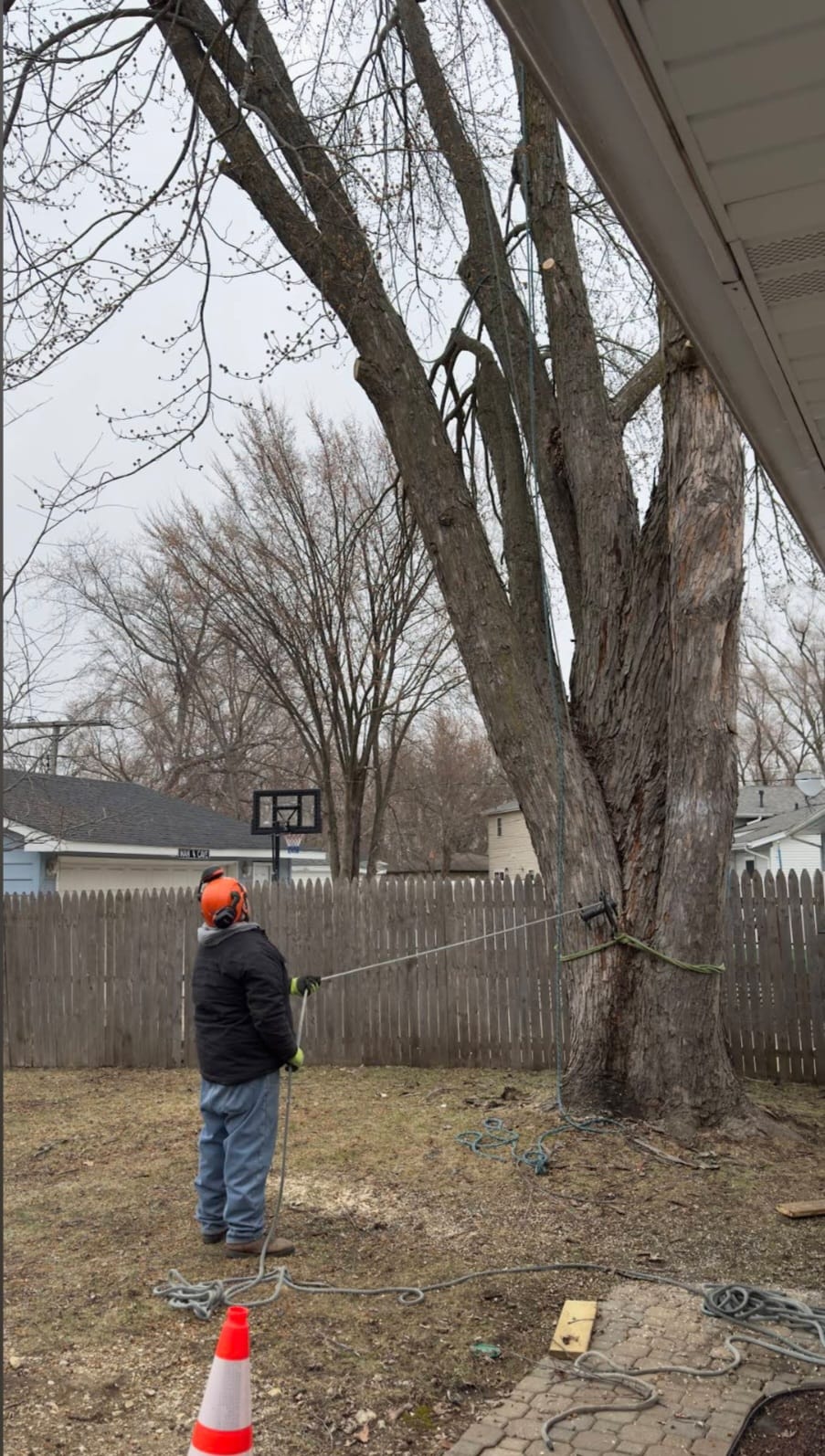 Yard transformation
