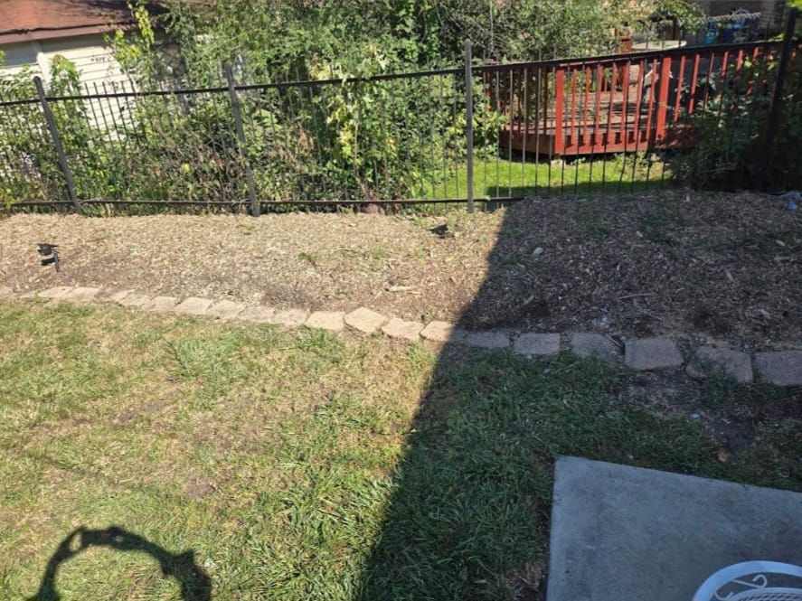 Dead tree removal